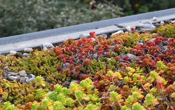 the cost of Warbstow Cross green roof installation