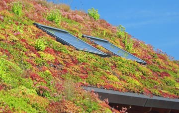 Warbstow Cross living roof systems