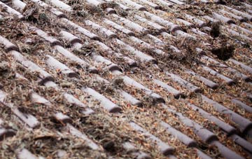 Warbstow Cross roof cleaning companies