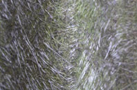 Warbstow Cross fibreglass roof work